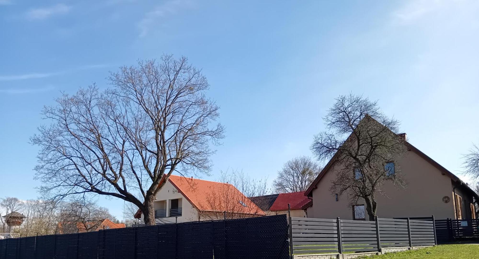 Pokoje Goscinne Sloneczny Klon Dabrowno Exterior photo