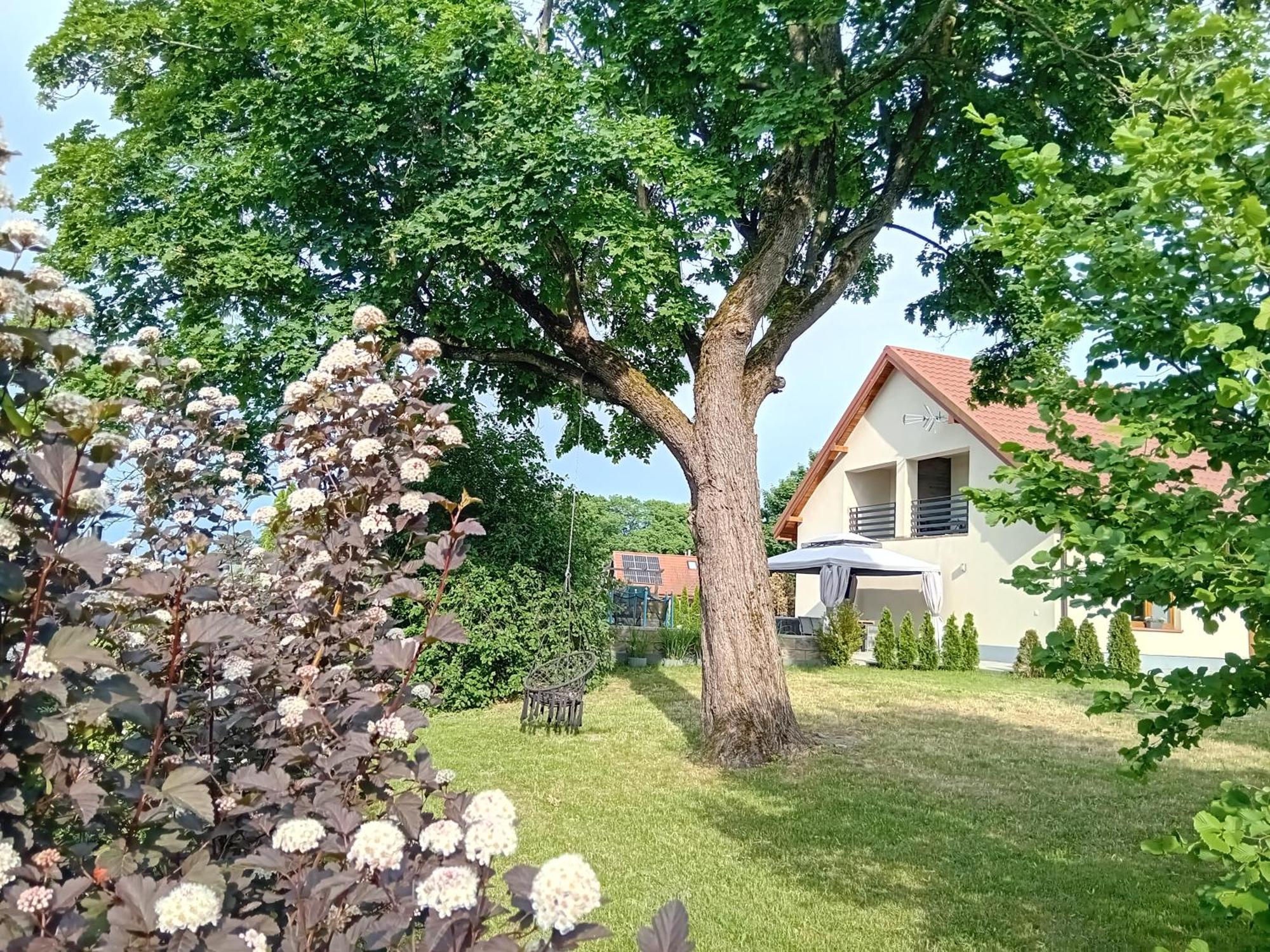 Pokoje Goscinne Sloneczny Klon Dabrowno Exterior photo