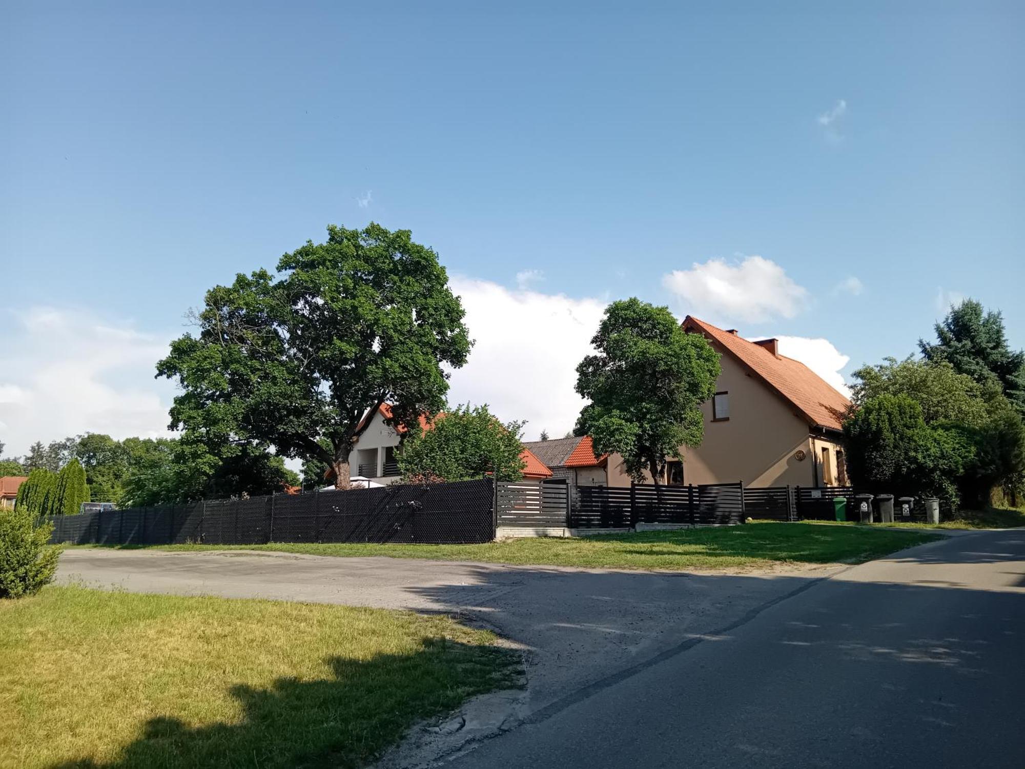 Pokoje Goscinne Sloneczny Klon Dabrowno Exterior photo