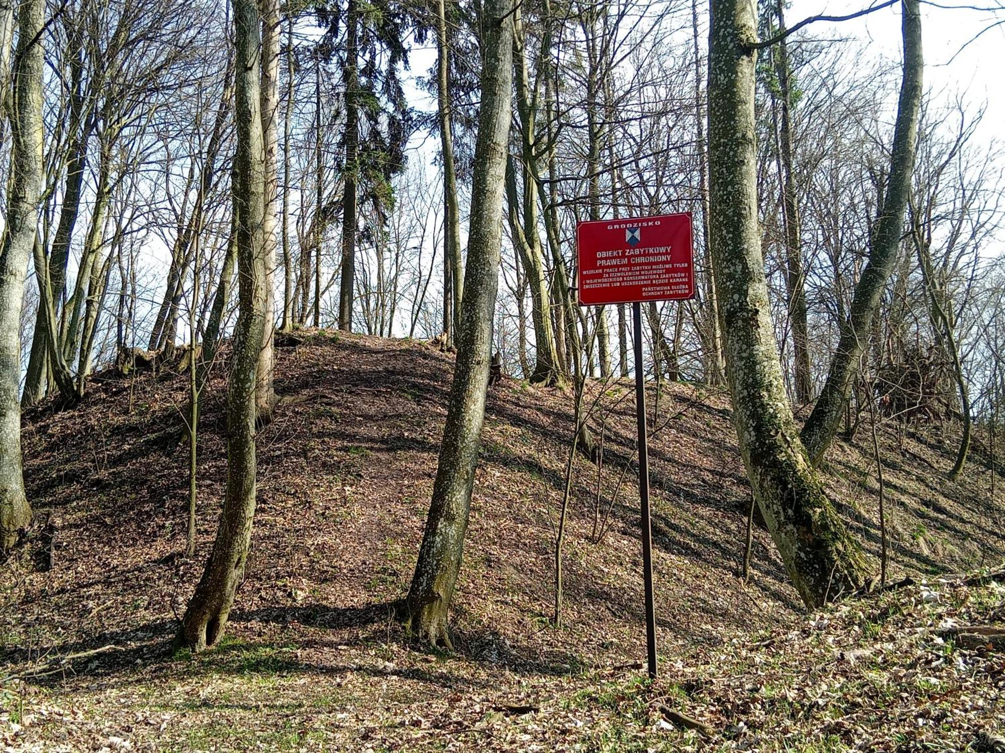 Pokoje Goscinne Sloneczny Klon Dabrowno Exterior photo