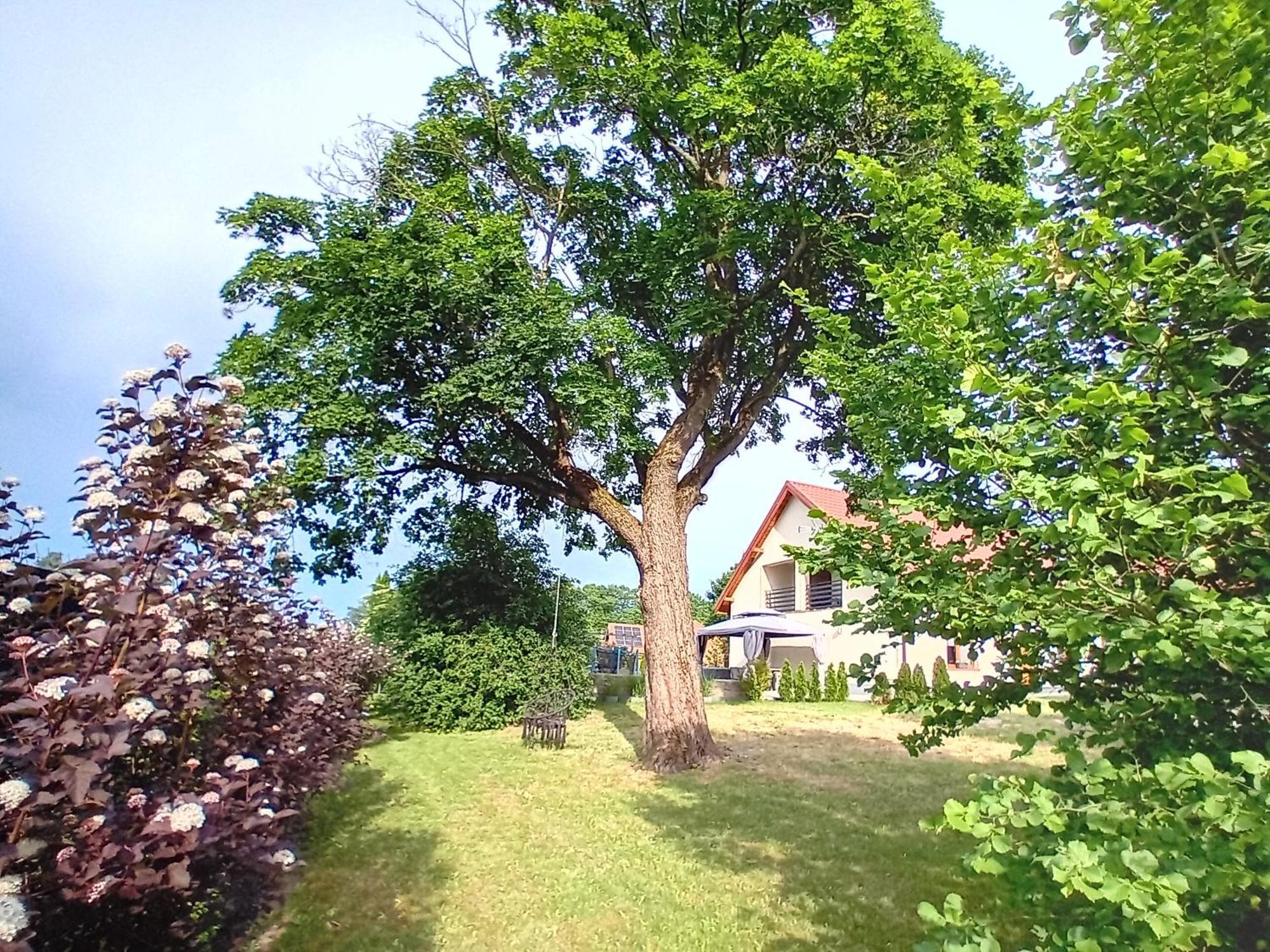 Pokoje Goscinne Sloneczny Klon Dabrowno Exterior photo